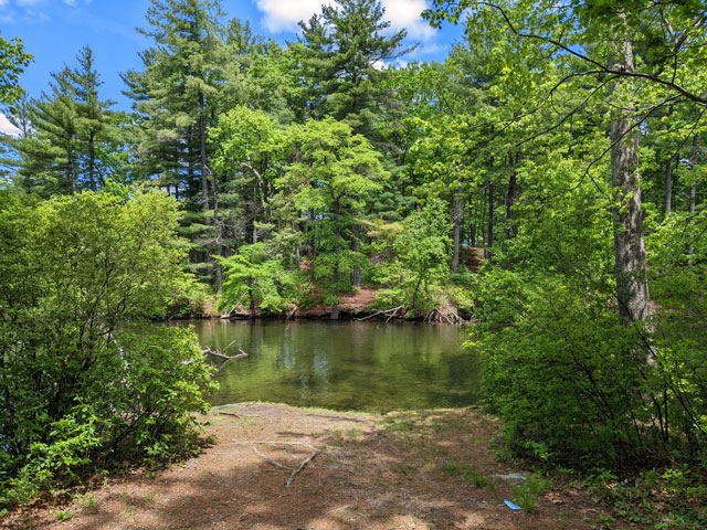 Looking at the island on Dug Pond