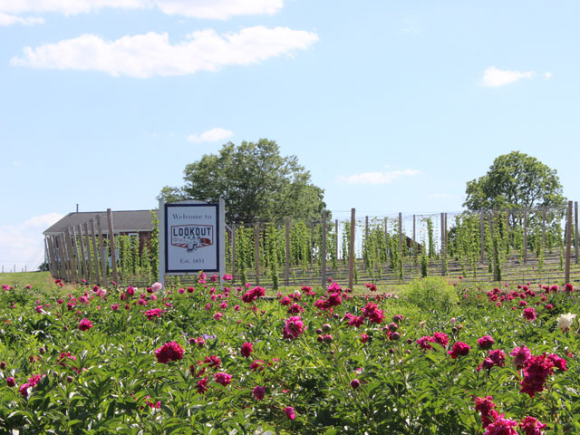 Lookout Farm, Natick, MA